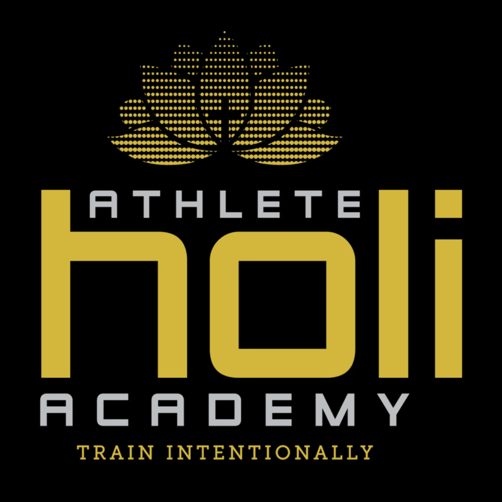 holiAthlete Academy